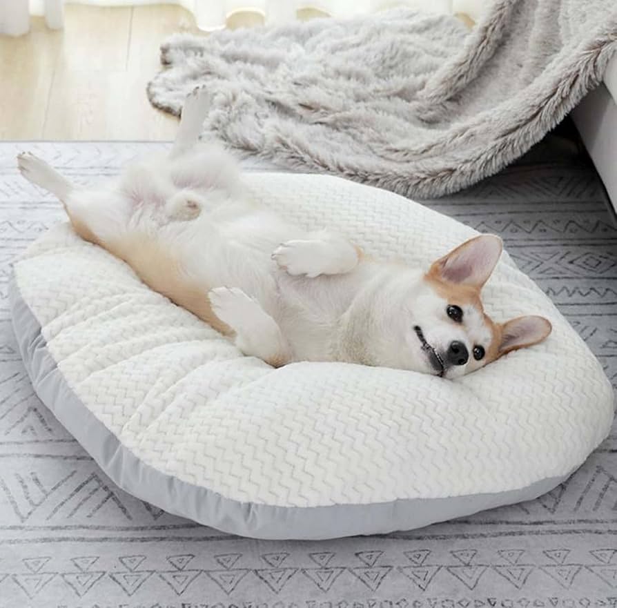 Orthopedic Dog Bed — Memory Foam Support, Machine Washable, All Sizes