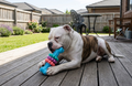 Indestructible Dog Bone Chew Toy — TPR Bite-Resistant Teething Toy for Aggressive Chewers