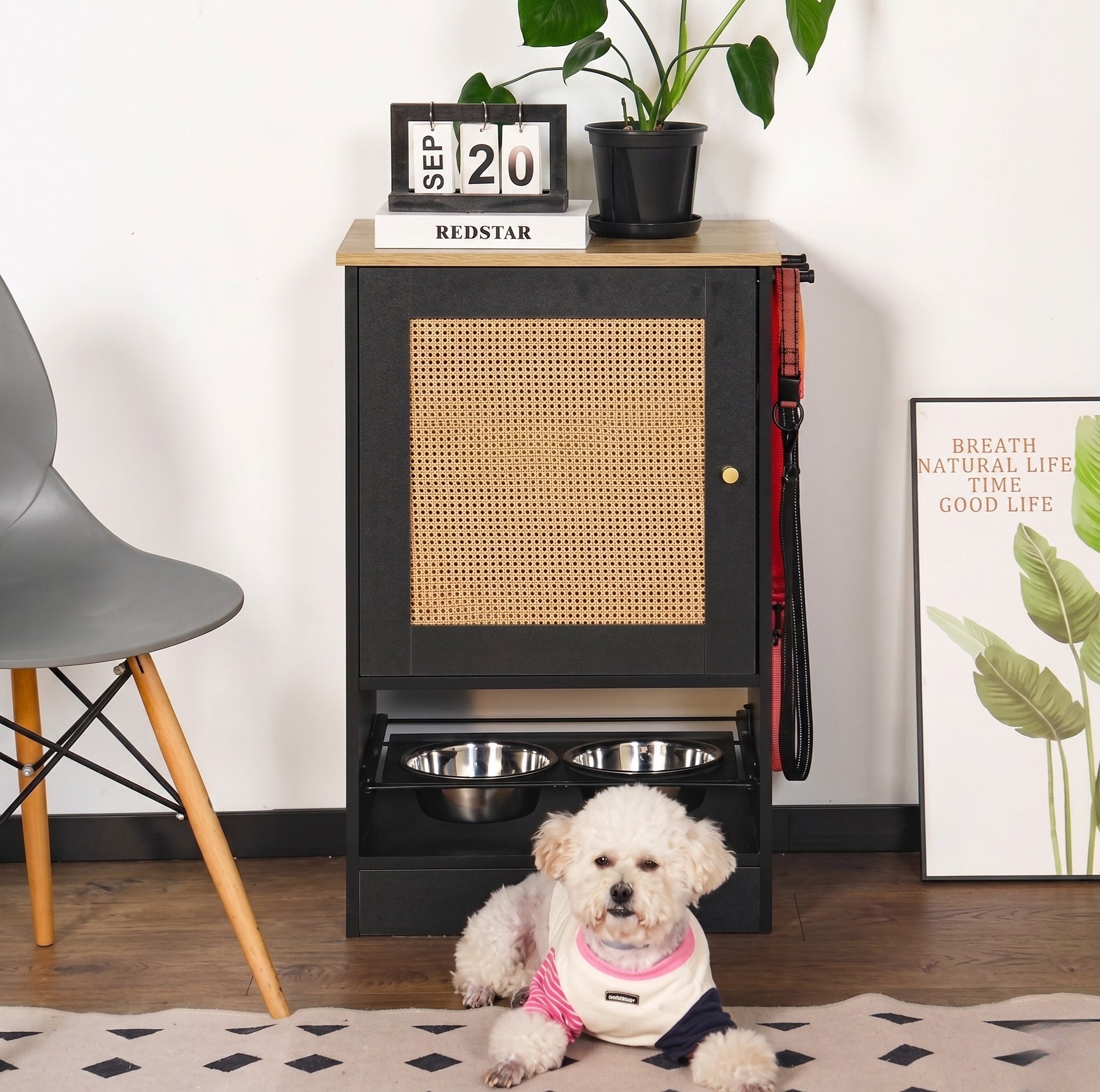 Elevated Dog Feeding Station with Storage Cabinet — Raised Bowls for Small and Large Dogs