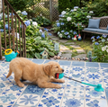 Suction Cup Dog Tug Toy — Interactive Solo Play for Bored and Energetic Dogs