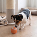 Electric Rolling Ball Dog Toy — Automatic Moving Ball for Indoor Play and Exercise